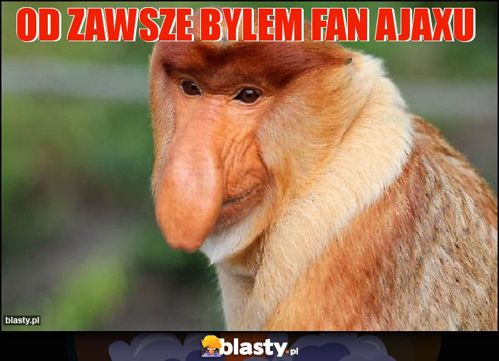 od zawsze bylem fan ajaxu