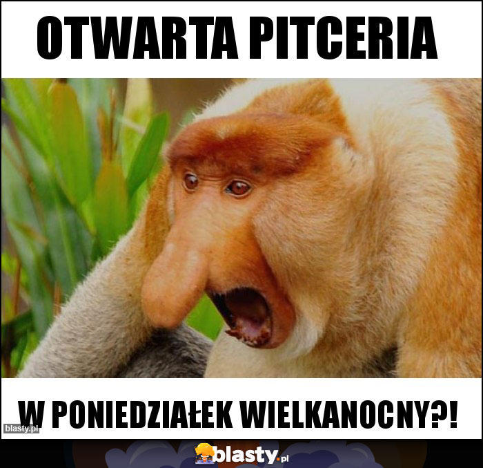 Otwarta pitceria