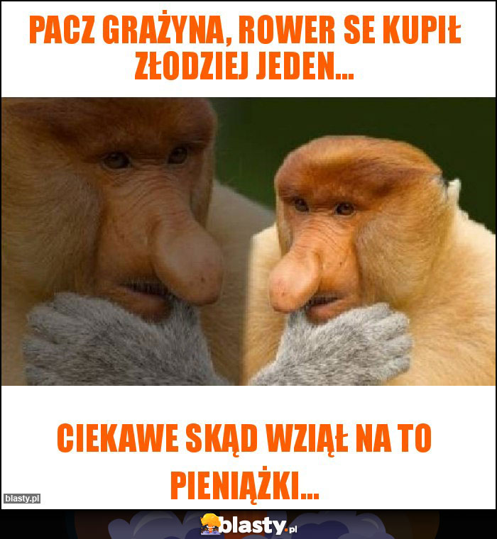 Pacz grażyna, rower se kupił złodziej jeden...