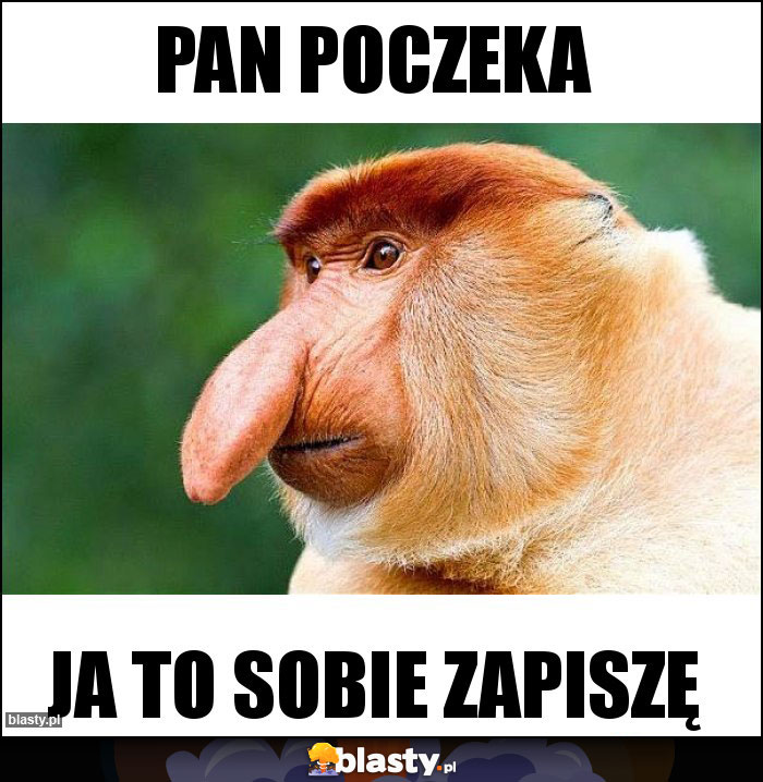 pan poczeka