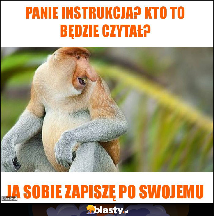 panie instrukcja? kto to będzie czytał?