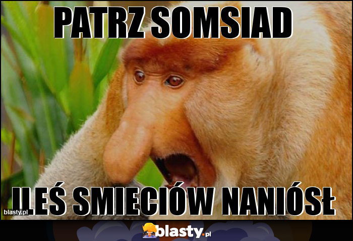 Patrz somsiad