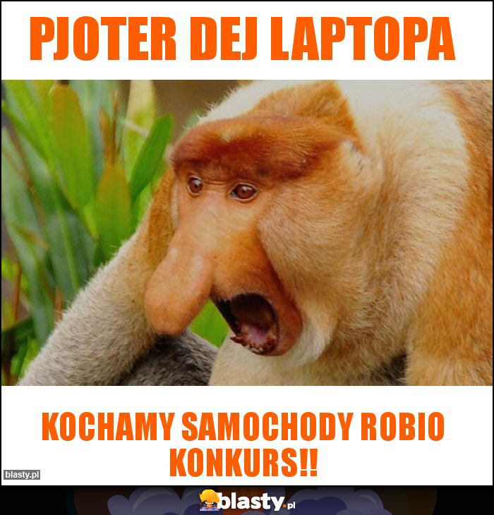 Pjoter dej laptopa