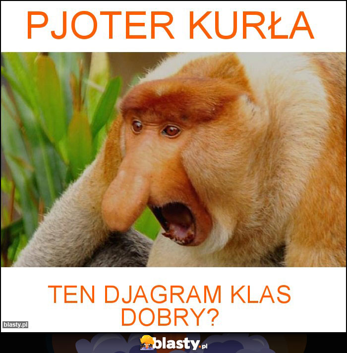 PJOTER KURŁA