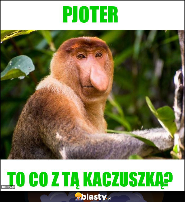 Pjoter