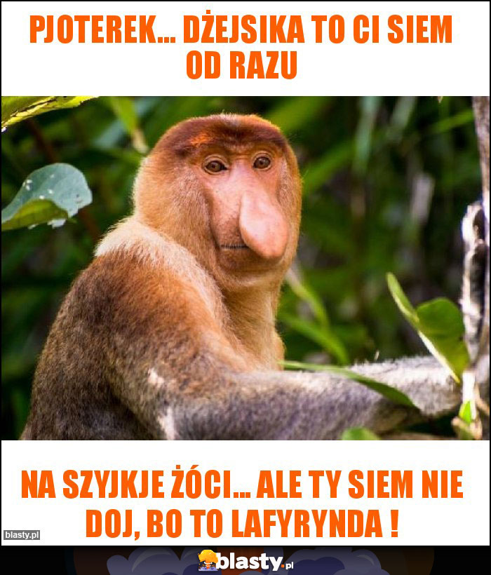 pjoterek... dżejsika to ci siem od razu