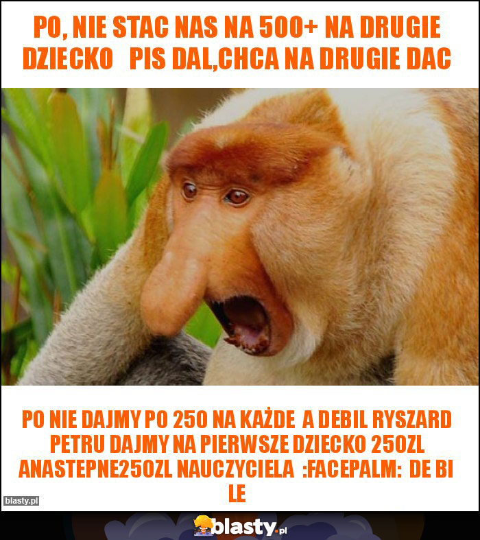 PO, nie stac nas na 500+ na drugie dziecko   PiS dal,chca na drugie dac