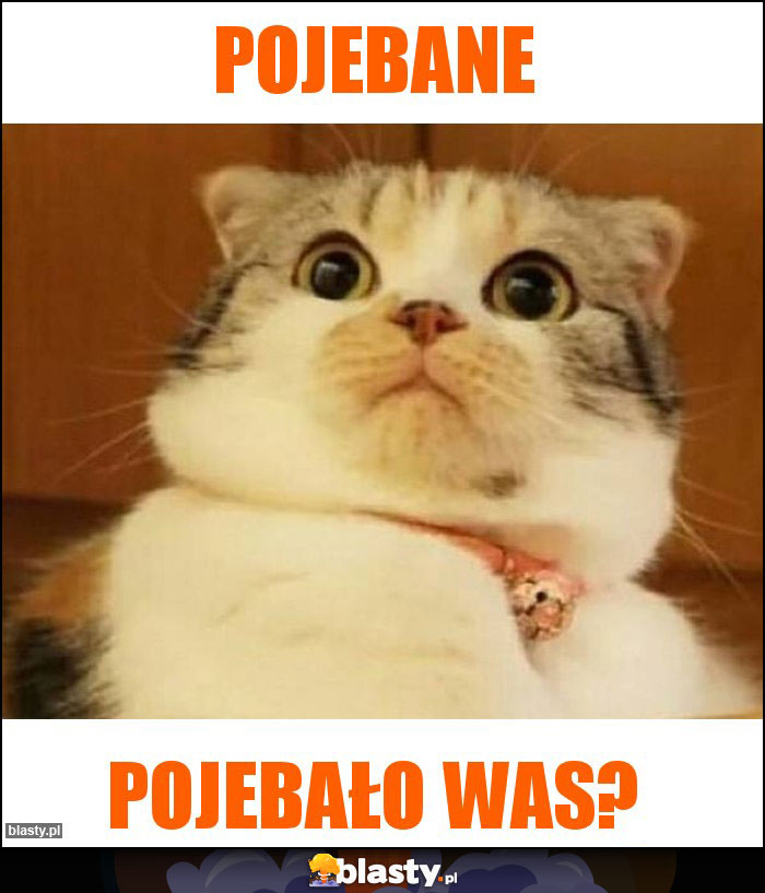 Pojebane