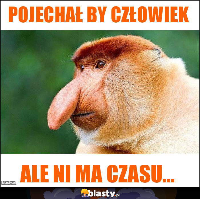 Pojechał by człowiek