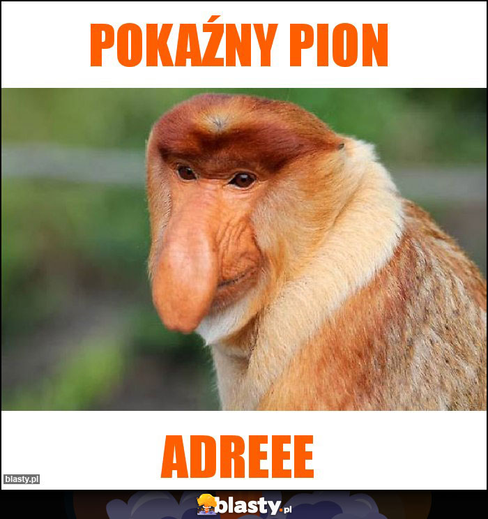 Pokaźny pion