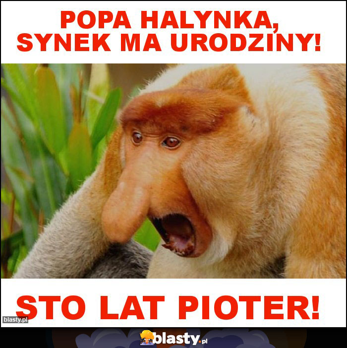 Popa Halynka, synek ma urodziny!