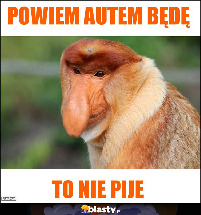 Powiem autem będę