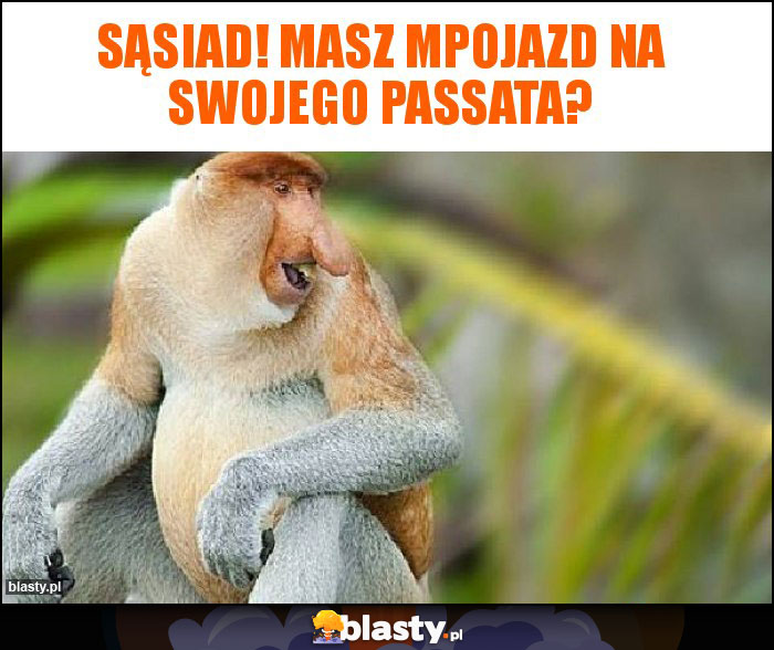 Sąsiad! Masz mPojazd na swojego Passata?