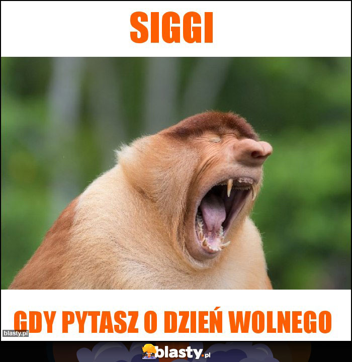 Siggi