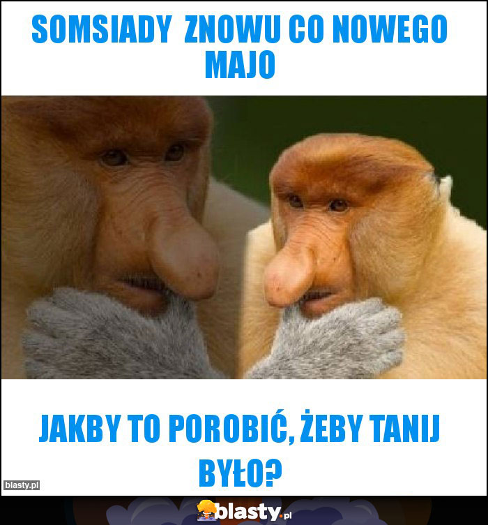 Somsiady  znowu co nowego majo