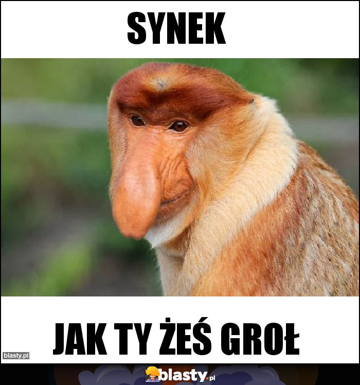 Synek