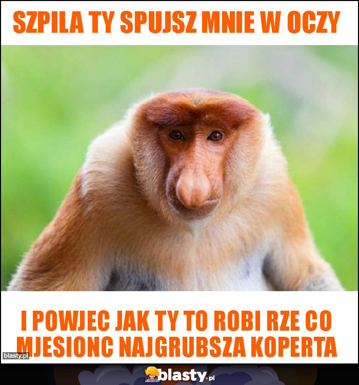 SZPILA TY SPUJSZ MNIE W OCZY