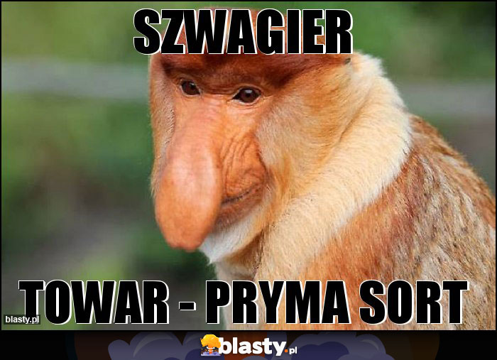 Szwagier