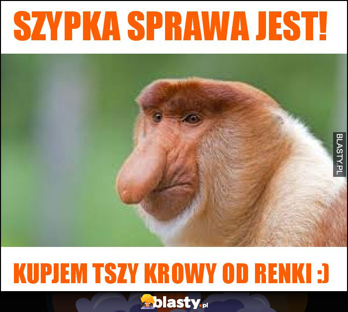 SZYPKA SPRAWA JEST!