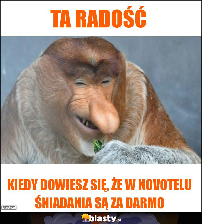 Ta radość