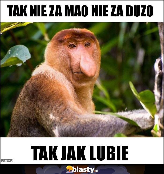 Tak nie za mao nie za duzo