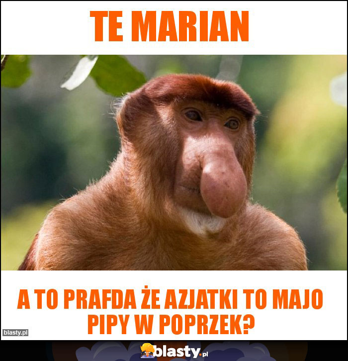 Te Marian