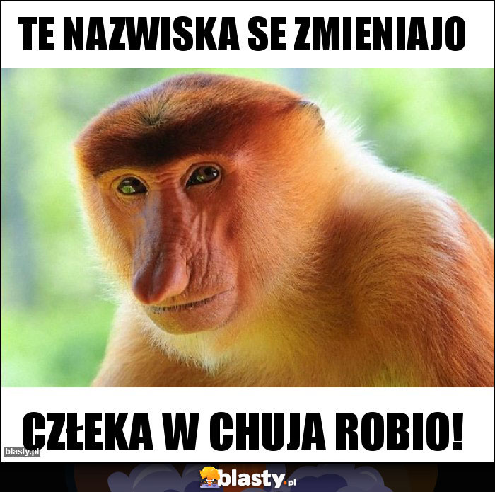 TE NAZWISKA SE ZMIENIAJO