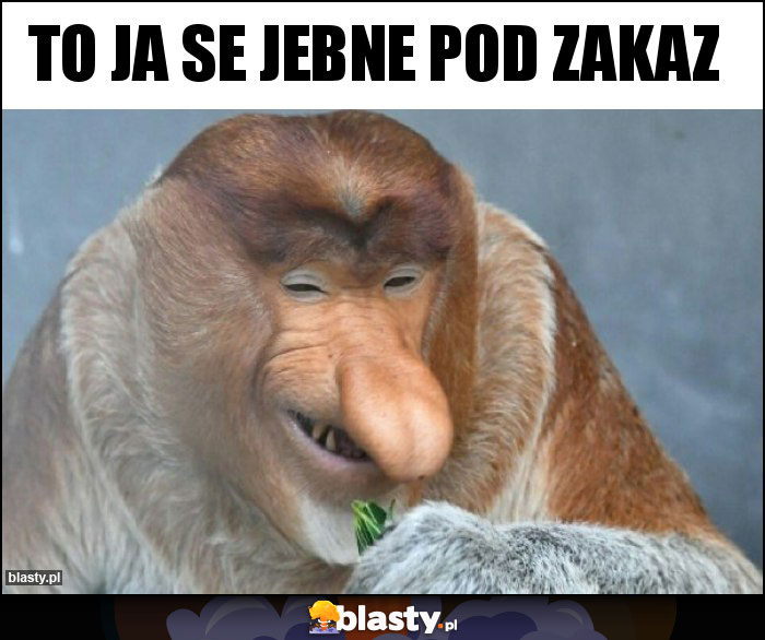 To ja se jebne pod zakaz