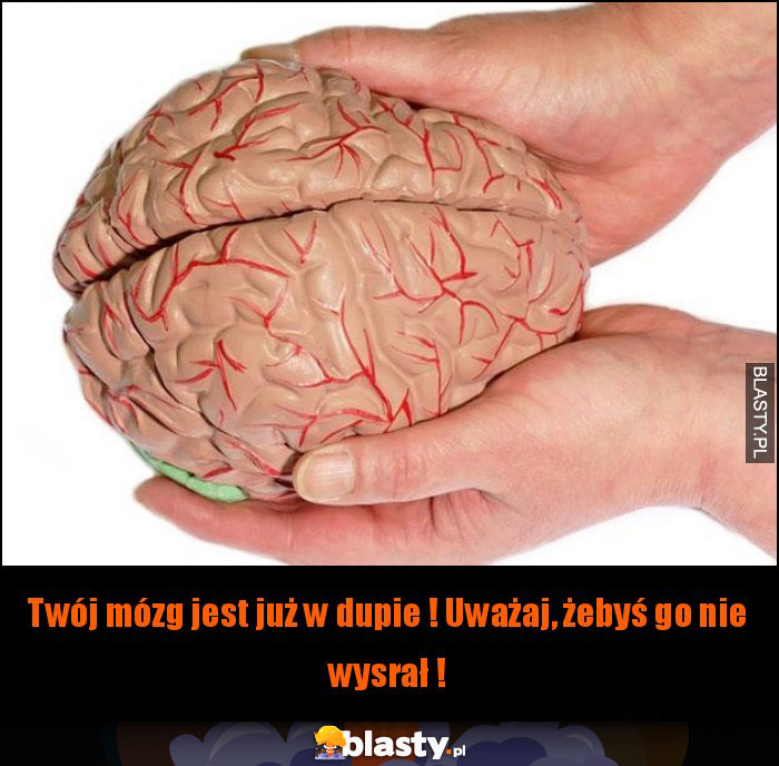 Twój mózg jest już w dupie ! Uważaj, żebyś go nie wysrał !