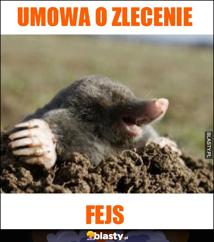 Umowa o zlecenie