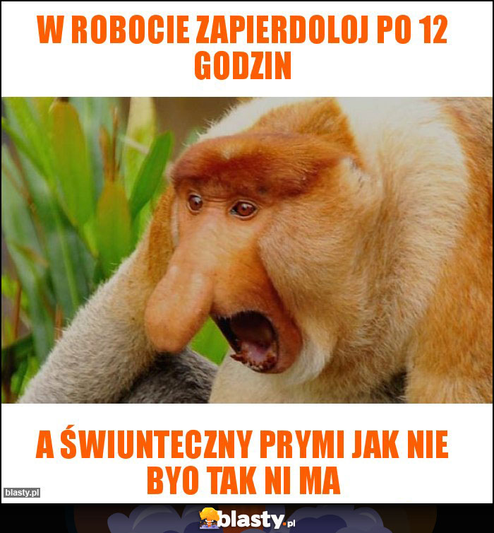 W robocie zapierdoloj po 12 godzin