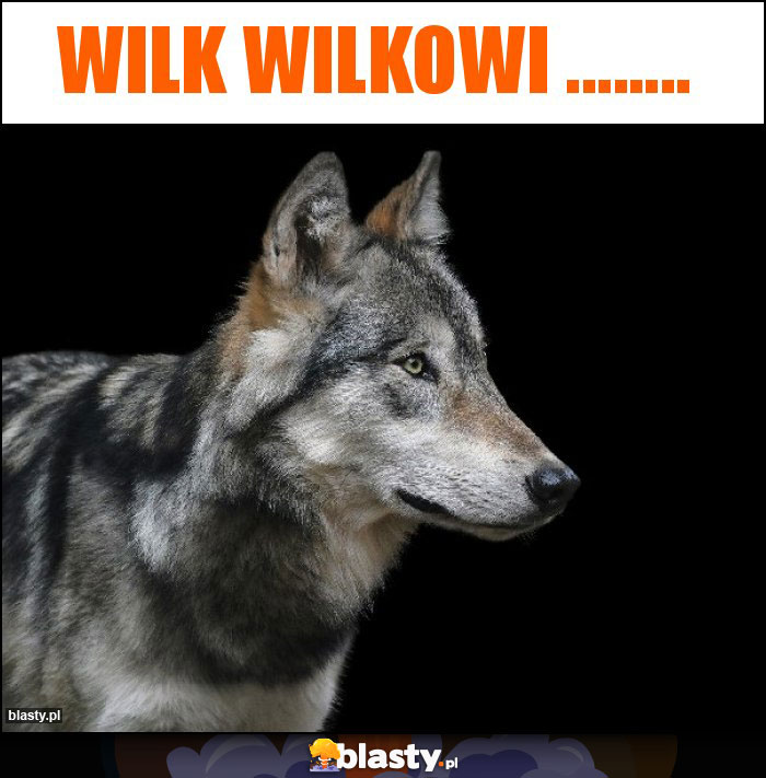 Wilk Wilkowi ........