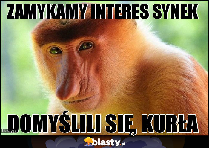 zamykamy interes synek