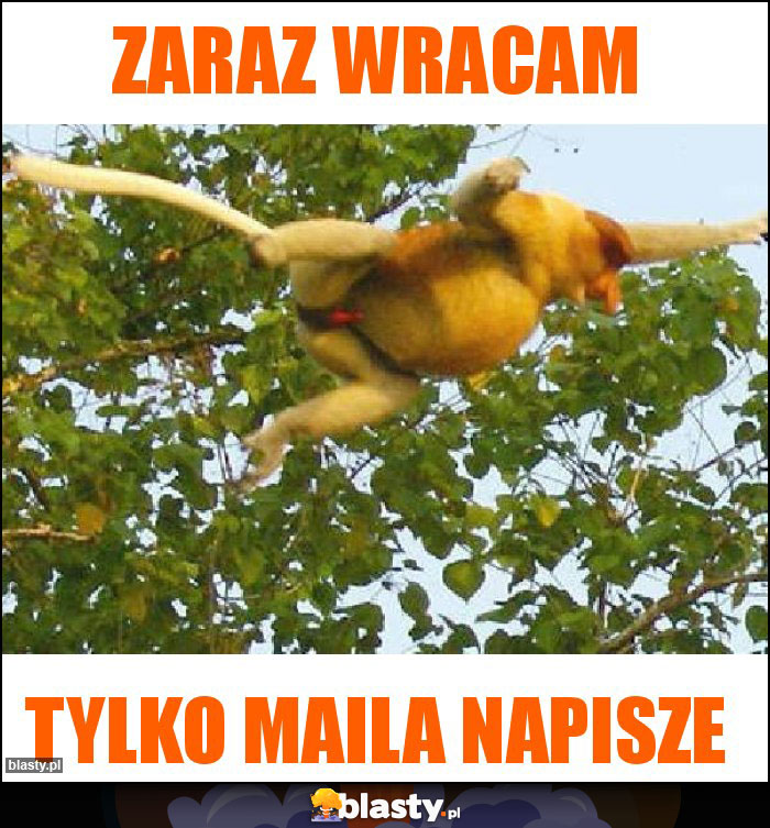 Zaraz wracam