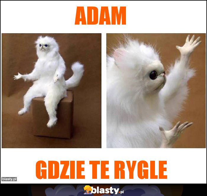 Adam