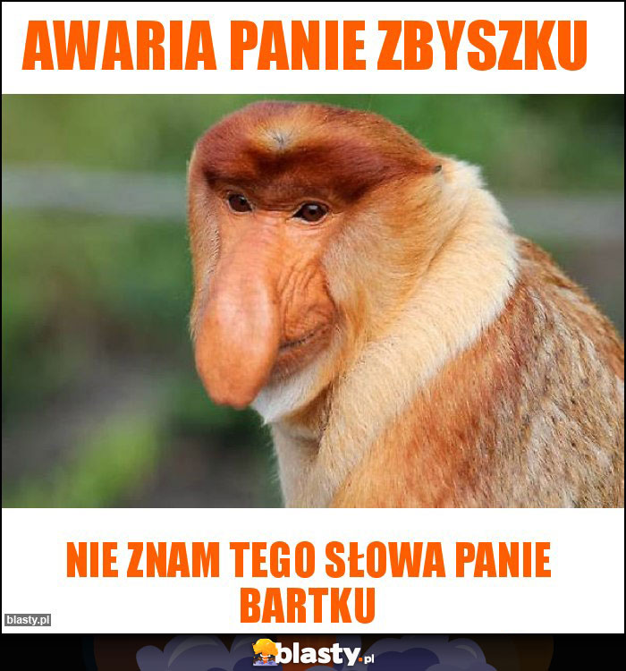 Awaria Panie Zbyszku