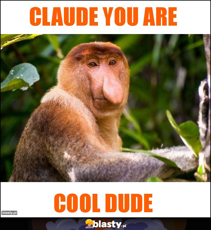 Claude you are