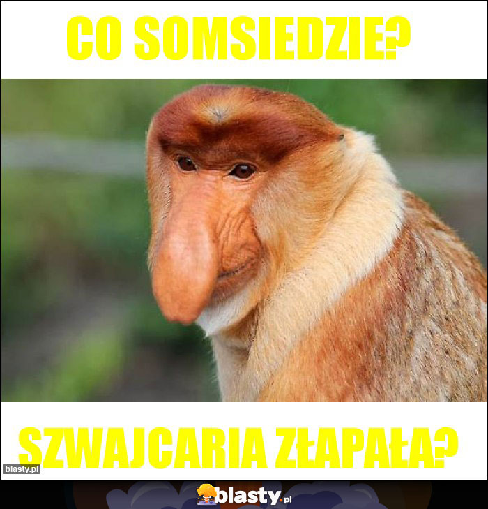 CO somsiedzie?