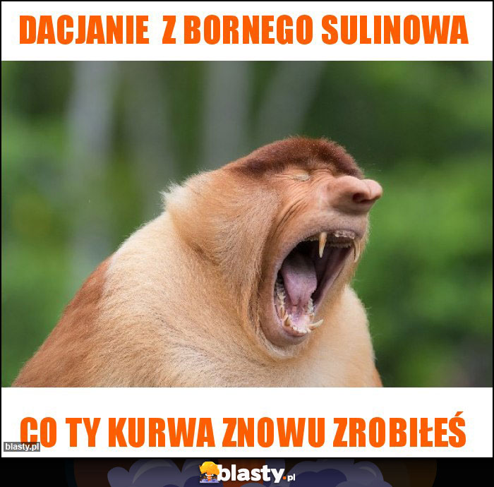 Dacjanie  z Bornego Sulinowa