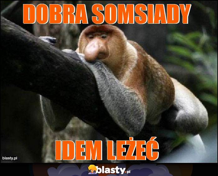 dobra somsiady