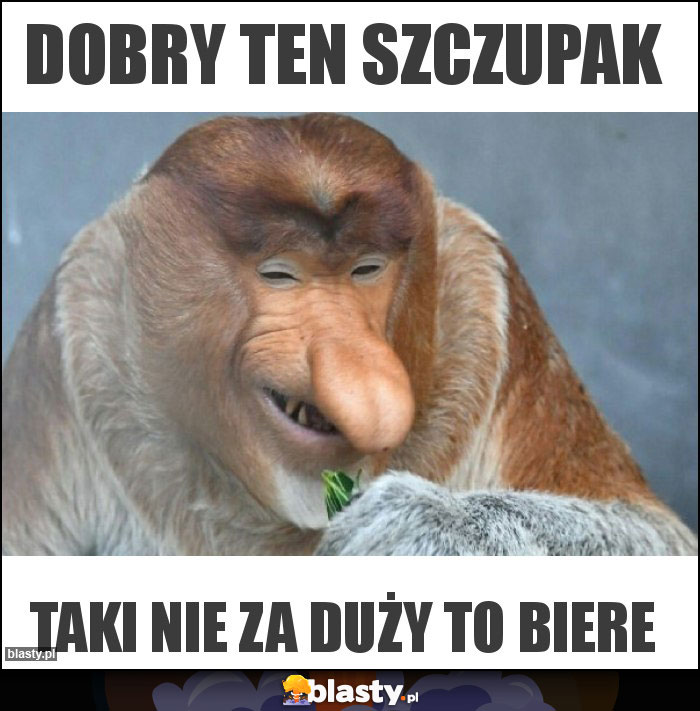 Dobry ten szczupak