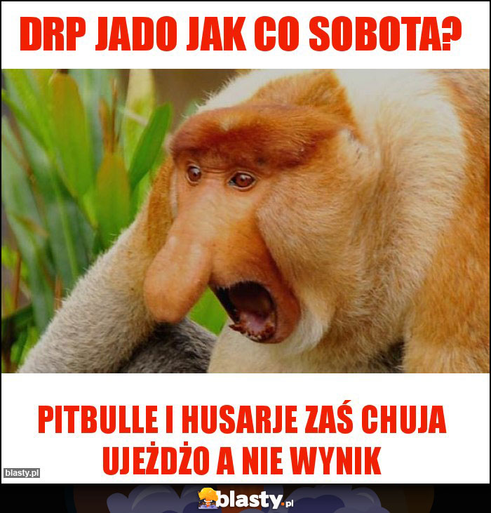 DRP jado jak co sobota?