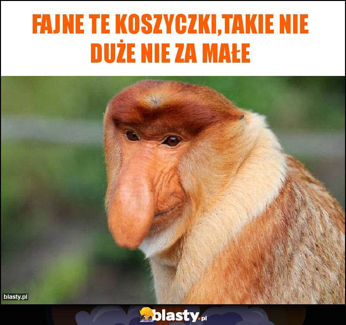 Fajne te koszyczki,takie nie duże nie za małe