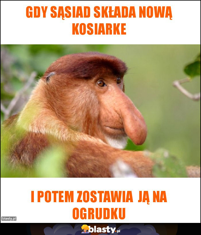 gdy sąsiad składa nową kosiarke