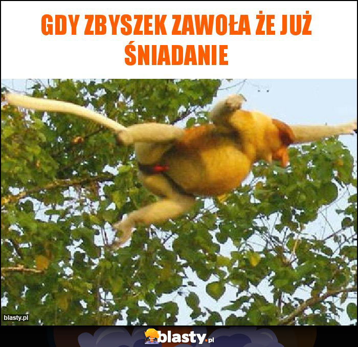 Gdy Zbyszek zawoła że już śniadanie