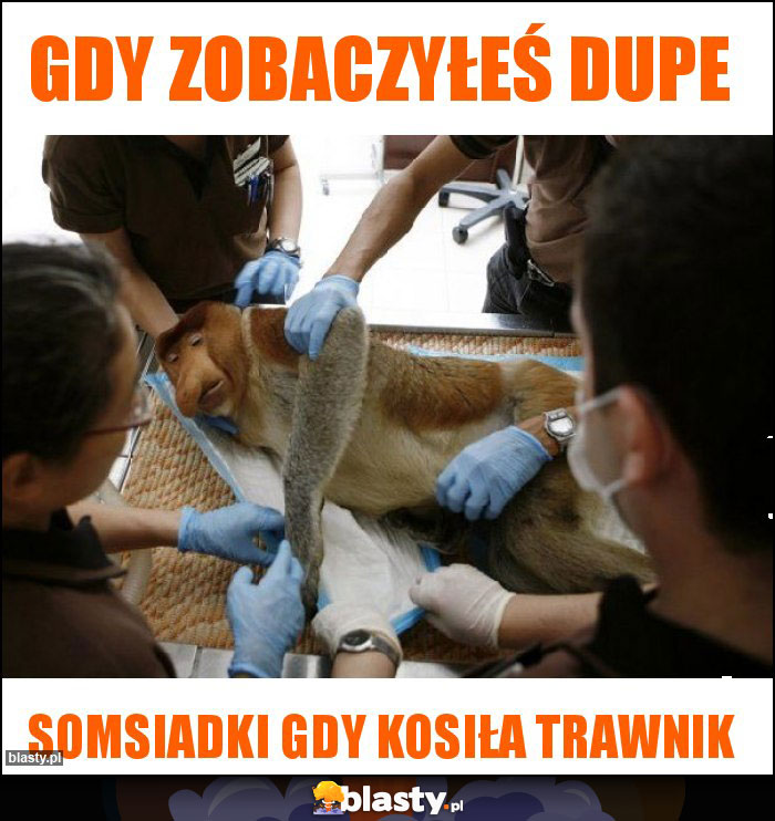 Gdy zobaczyłeś dupe