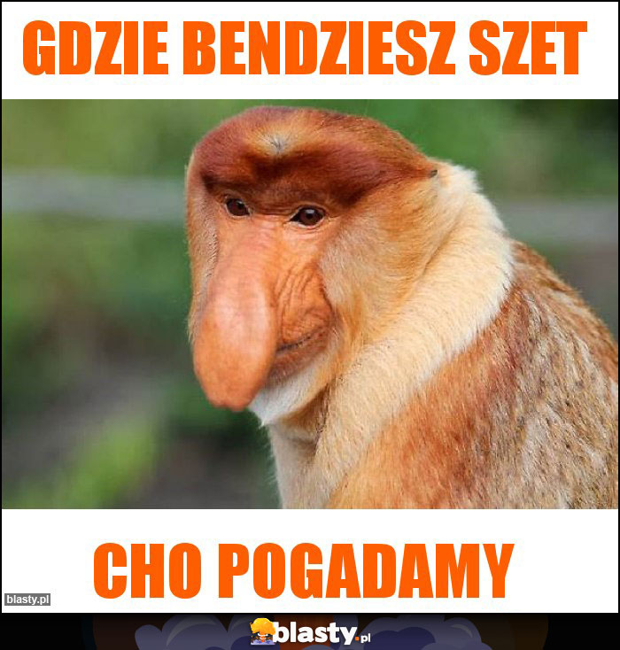 GDZIE BENDZIESZ SZET