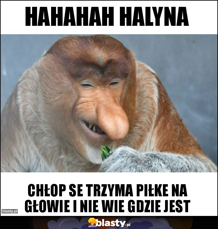 Hahahah Halyna