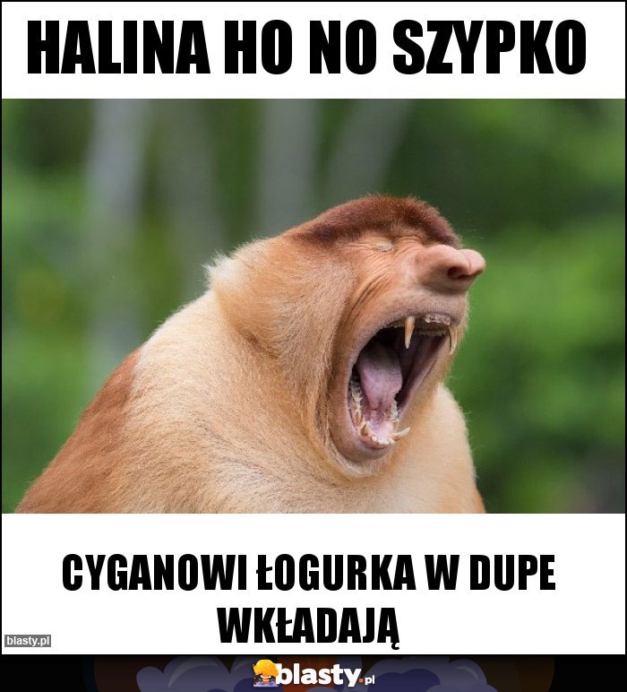 Halina ho no szypko