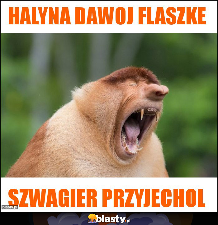 Halyna dawoj flaszke